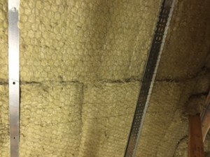 IMG 3335