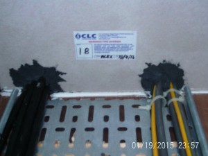PTDC0023